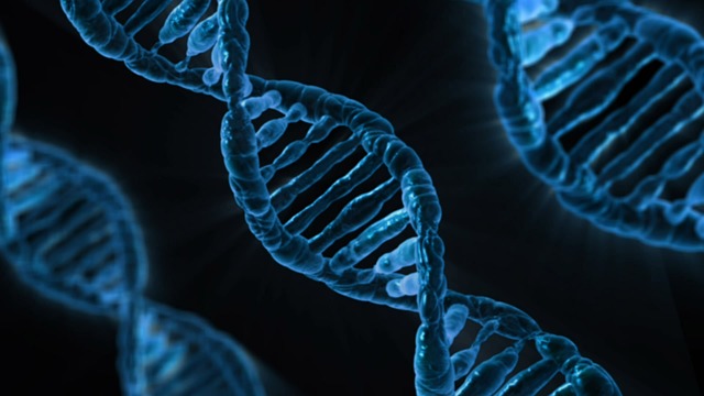 dna_1498846102